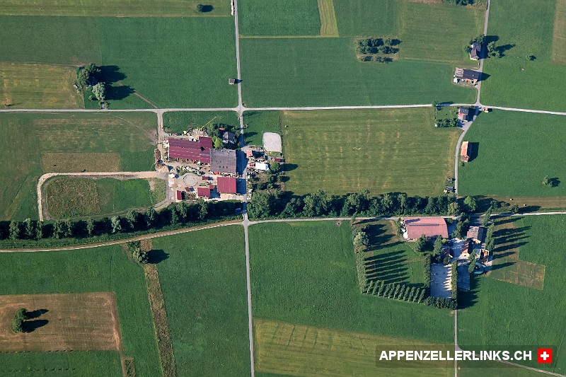 Blick auf die typische Rheintaler Hof- und Landwirtschaft