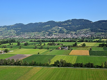 Blick auf das Isenriet vor Rebstein im Rheintal.JPG