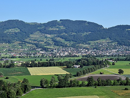 Blick in Richtung Rebstein im Rheintal.JPG