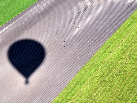 Fliegende Voegel aus der Ballonperspektive.JPG