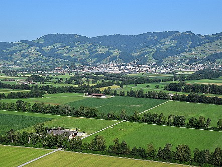 Landwirtschaftsflaechen im Sankt Galler Rheintal.JPG