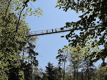 40 Meter hohe Haengebruecke ueber das Mattenbachtobel.JPG
