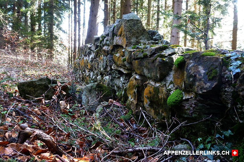 Mauerreste der Burg Hoch-Altstaetten auf dem Buschel bei Oberegg AI