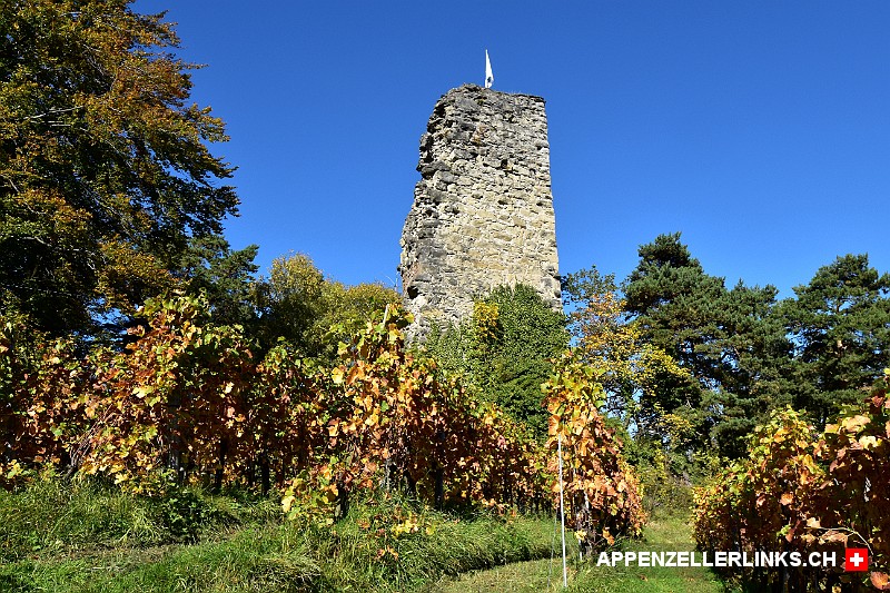 Ruine der Burg Grimmenstein bei Walzenhausen AR
