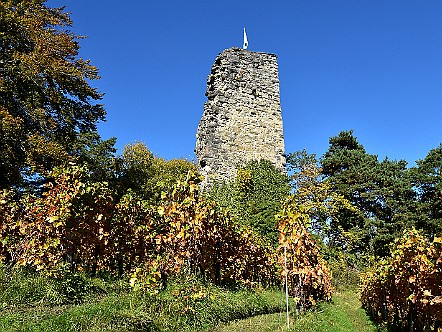 Ruine der Burg Grimmenstein bei Walzenhausen AR.JPG