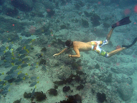 Schnorchlerparadies mit Fischschwärmen, Haien und Rochen   Fotogalerie Galapagos-Inseln: Reise-Fotos vom UNESCO Welt&shy;natur&shy;erbe : Schnorchlerparadies mit Fischschwärmen, Haien und Rochen. Auf und da&shy;von I Fern&shy;weh-Fotos I Reise&shy;erin&shy;ne&shy;rungen I Travel Memo&shy;ries I Out of Switzer&shy;land. Copy&shy;right:  ©&nbspFREDY ZIRN 🇨🇭 APPEN&shy;ZELLER&shy;LINKS.CH : Ferienfotos, Galapagos, Galapagos-Inseln, Reisefotos