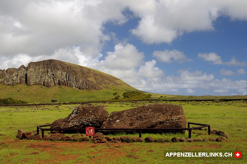 Umgestuerzter Moai in der Naehe des Ahu Tongariki auf Rapa Nui Umgestürzter Moai in der Nähe des Ahu Tongariki auf Rapa Nui