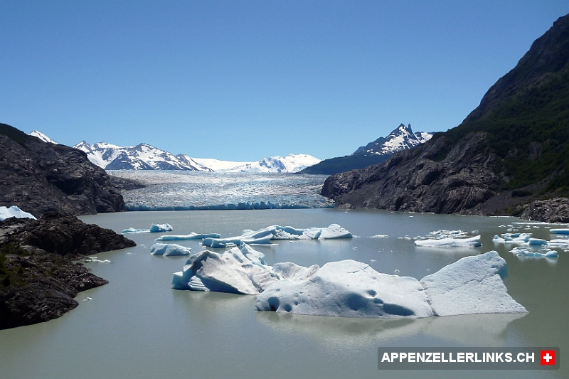 Glaciar Grey und Lago Grey 