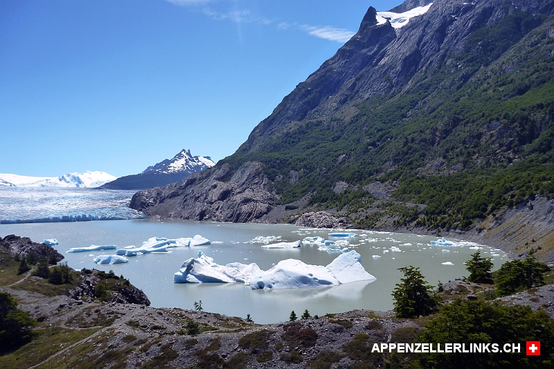 Treibende Gletscherabbrueche im Lago Grey Treibende Gletscherabbrüche im Lago Grey