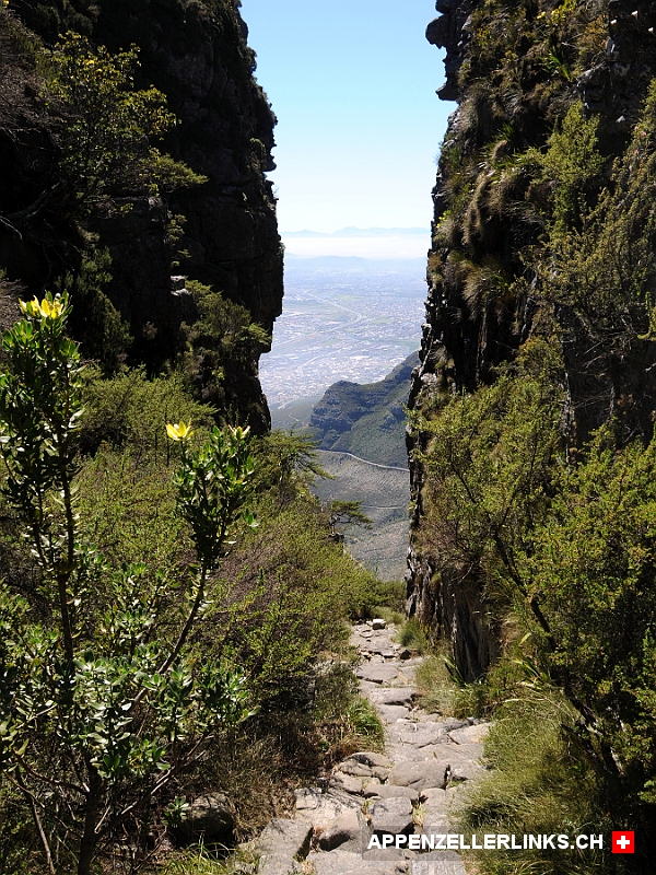 Aufstieg durch den Platteklip Gorge auf den Table Mountain 