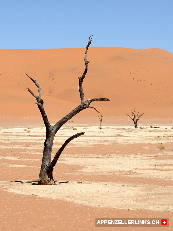 Dead Vlei in der Namib-Wueste Dead Vlei in der Namib-Wüste