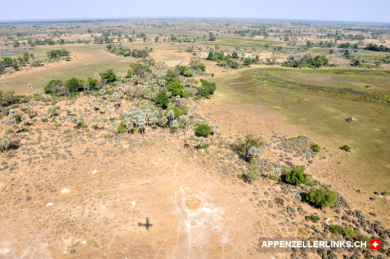 Einige Gebiete des Okavango-Deltas sind ueberflutungsfrei