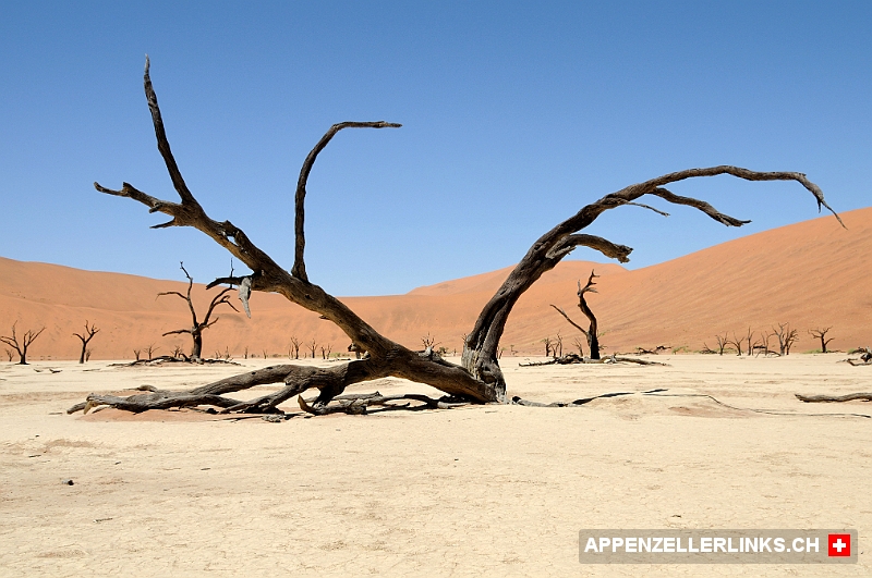 In der Salz-Lehm-Pfanne Dead Vlei in Namibia 