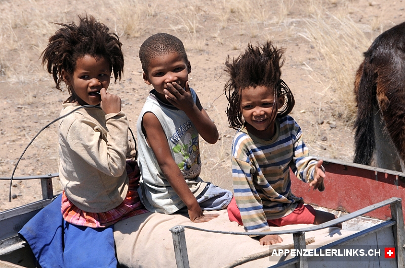 Kinder auf einem Esel-Fuhrwerk in der Namib Wueste