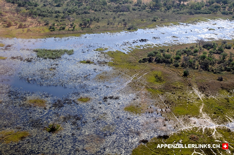 Sumpfflaechen, Kanaele, Seen und Inseln im Okavangodelta Sumpfflächen, Kanäle, Seen und Inseln im Okavangodelta