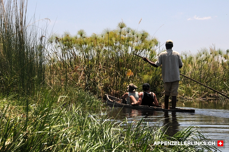 Zwischen Papyrus-Graesern durchs Okavangodelta Zwischen Papyrus-Gräsern durchs Okavangodelta