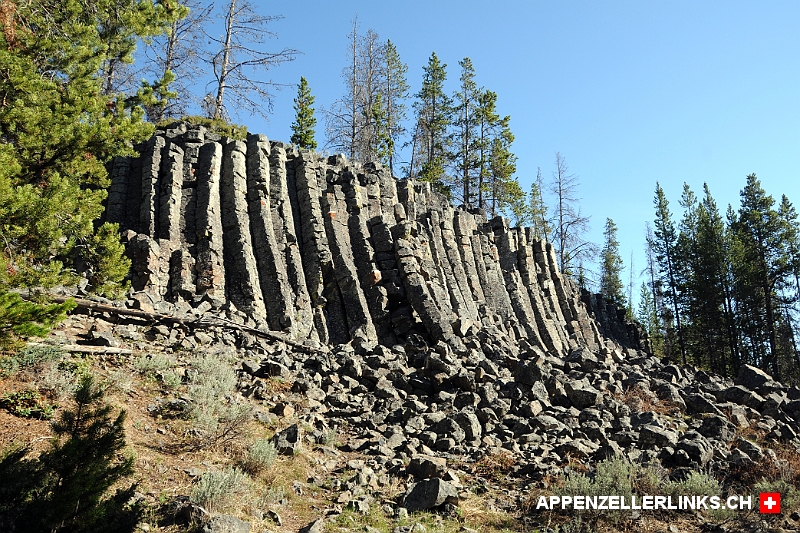 Basaltsaeulen des Sheepeater Cliff im Yellowstone NP Basaltsäulen des Sheepeater Cliff im Yellowstone NP