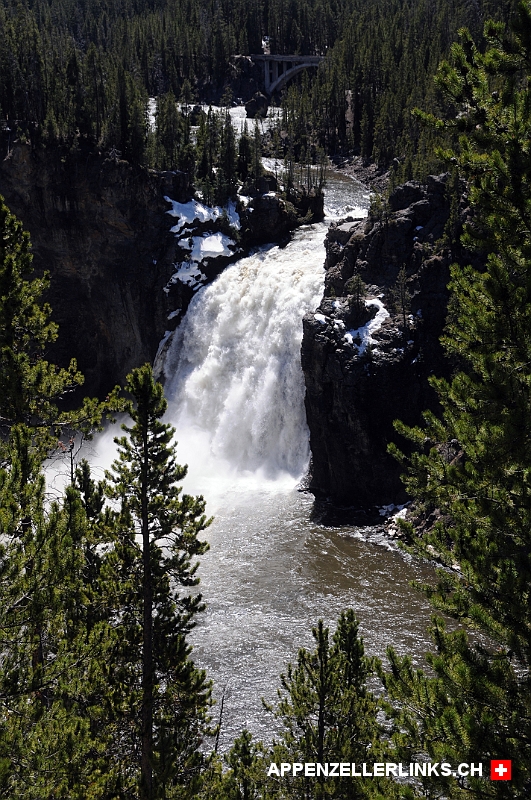 Blick auf die Upper Falls im Yellowstone Nationalpark