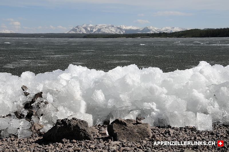 Eis am Ufer des teils noch gefrorenen Yellowstone Lake 