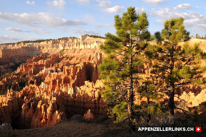 Faszinierende Landschaft im Bryce-Canyon Nationalpark 