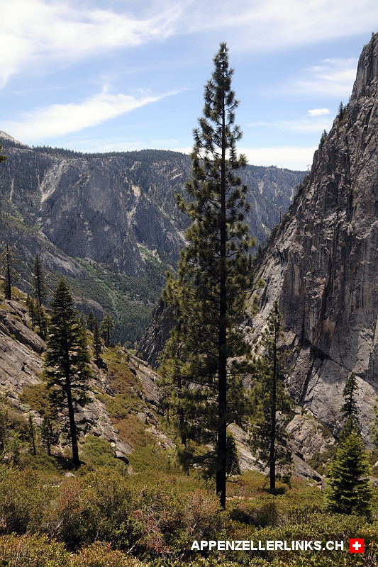 Landschaft im Abstieg auf dem Upper Yosemite Fall Trail 