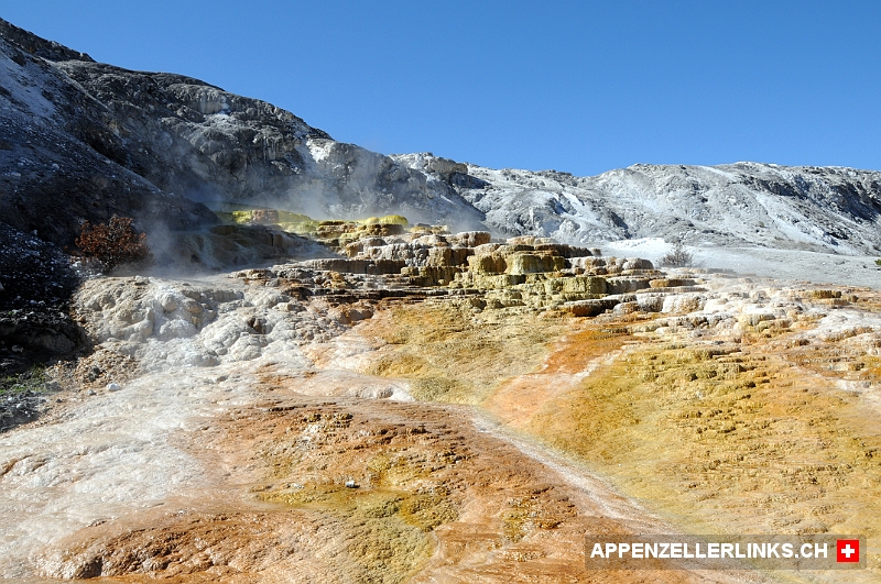 Mammoth Hot Springs Terraces im Norden des Yellowstone NP 