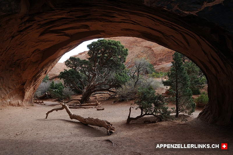 Navajo Arch 