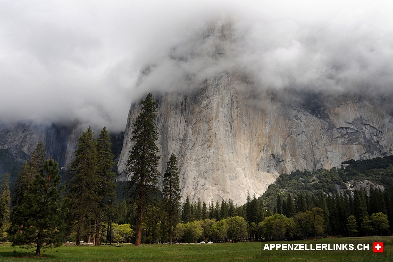 Wolkenverhangener El Capitan im Yosemite Nationalpark 